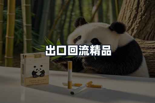 出口回流精品